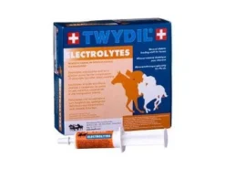 Twydil Electrolytes 10 Seringues De 60 Ml