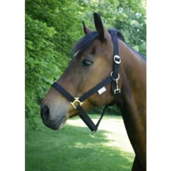 KERBL Licol Taille 00 - Poulain