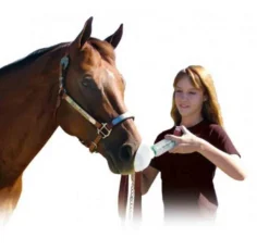 AeroHippus Pour Inhalateur Cheval -Équilibre Animal aerohippus pour cheval2