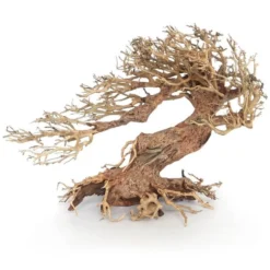 Amtra Bois Oriental Wind 3 SM