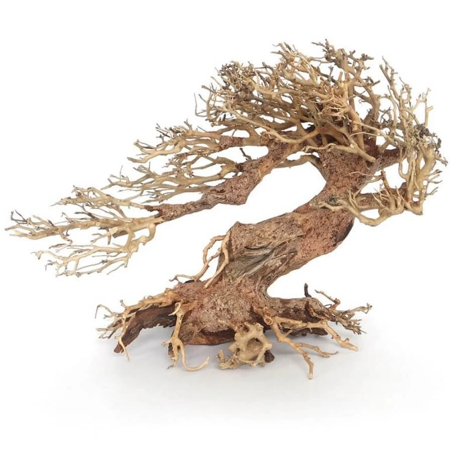 Amtra Bois Oriental Wind 3 SM 1 Amtra Bois Oriental Wind 3 SM