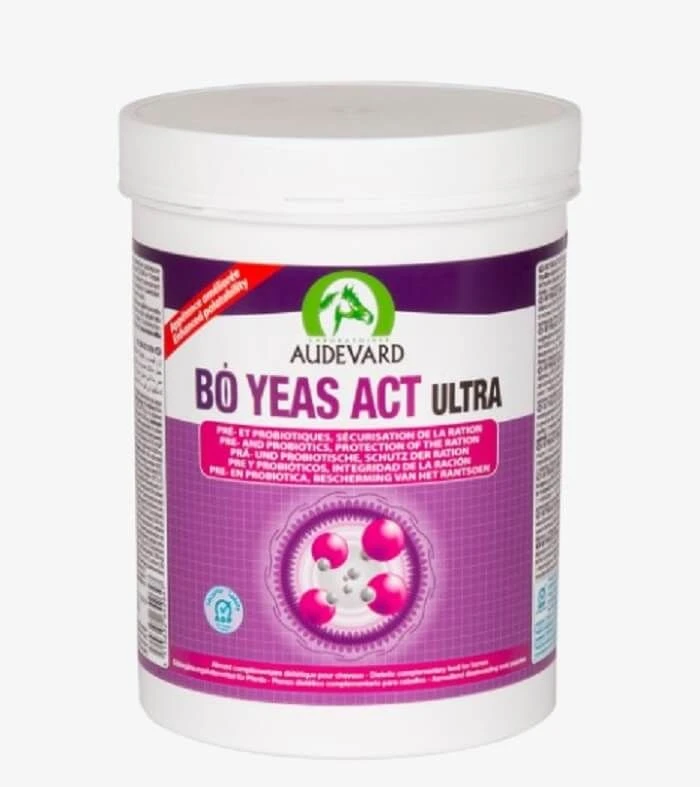 Audevard Bo Yeas Act Ultra 600 G 1 Audevard Bo Yeas Act Ultra 600 G