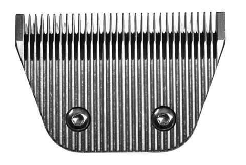 Tondeuse Wahl Avalon Pour Chevaux 1 Tondeuse Wahl Avalon Pour Chevaux