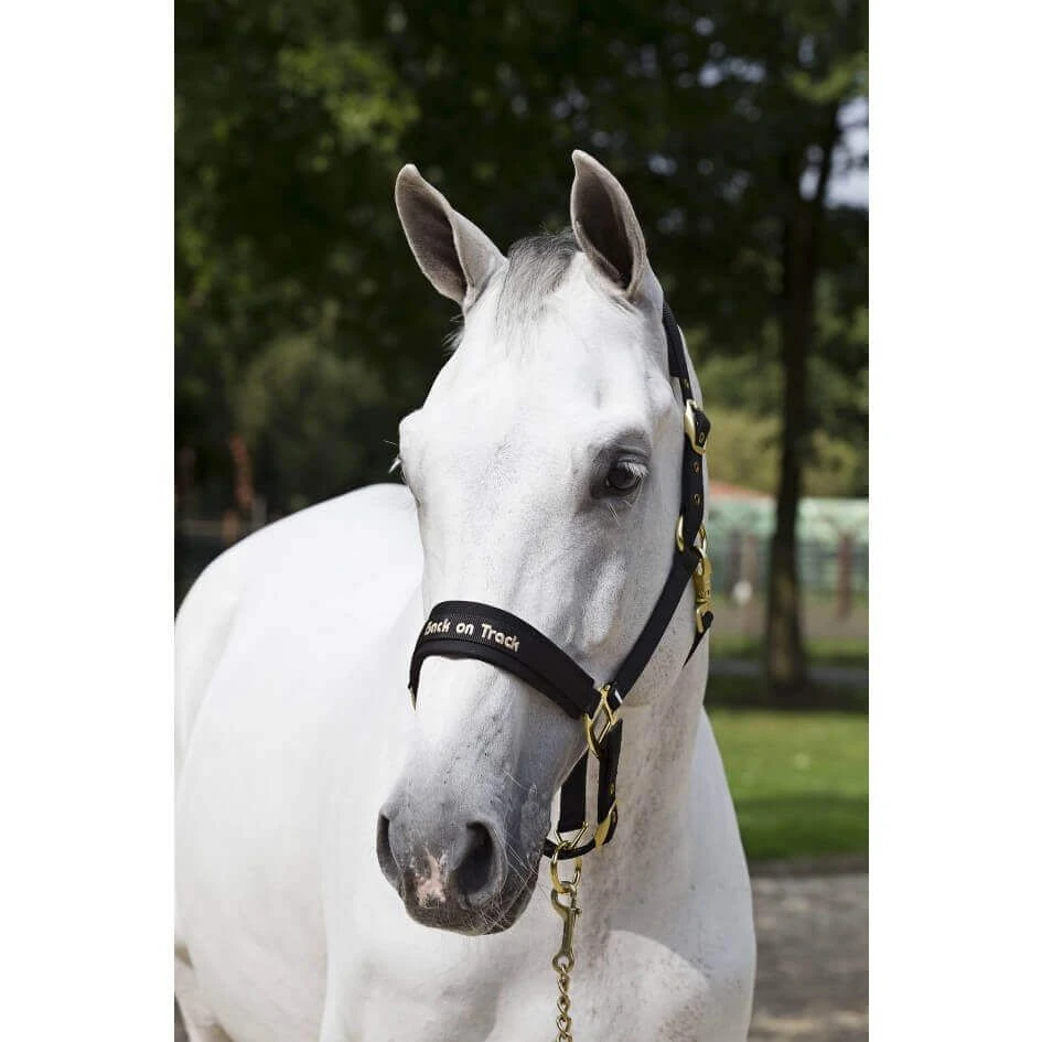 Back On Track Licol Werano Noir Full – Image 2