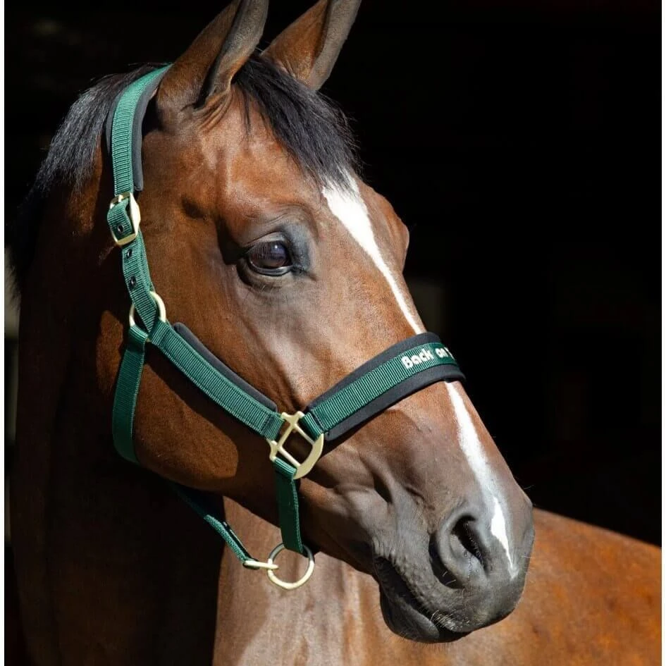 Back On Track Licol Werano Vert Cob – Image 2