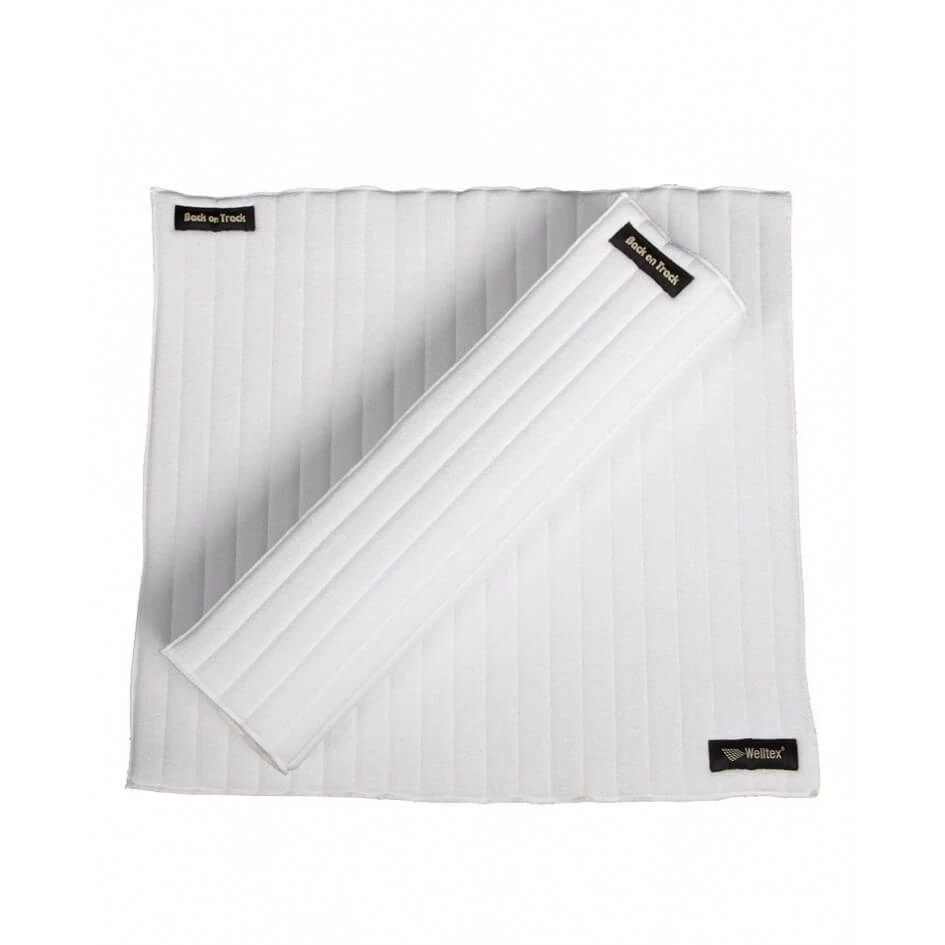 Back On Track Sous Bandes Scandic Cheval Blanc 40 X 40 Cm