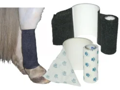 Bandes Cohésives AFD Empreinte 10 Cm X 2.30 M