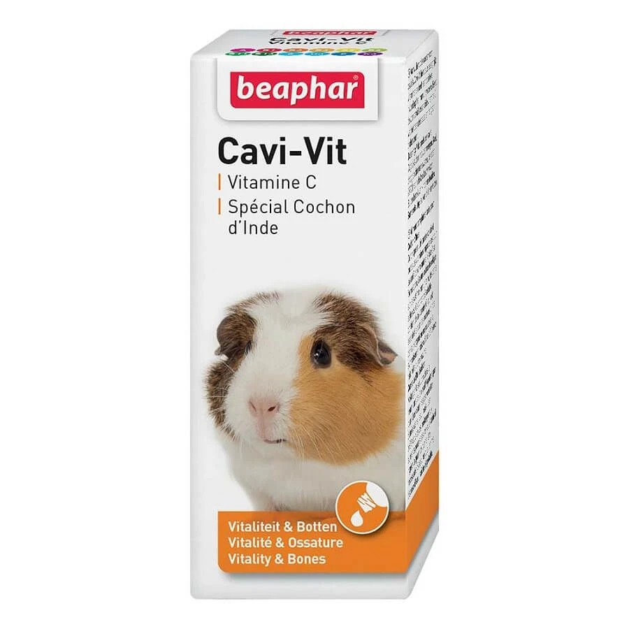 Beaphar CAVI-VIT Vitamine C Rongeurs 20 Ml 1 Beaphar CAVI-VIT Vitamine C Rongeurs 20 Ml