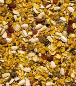 Beaphar XtraVital Perroquets 1 Kg -Équilibre Animal beaphar xtravital perroquets 1 kg2