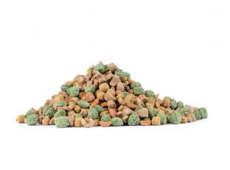 Care+ Cochon D'Inde 250 G 2 Care+ Cochon D'Inde 250 G – Image 2