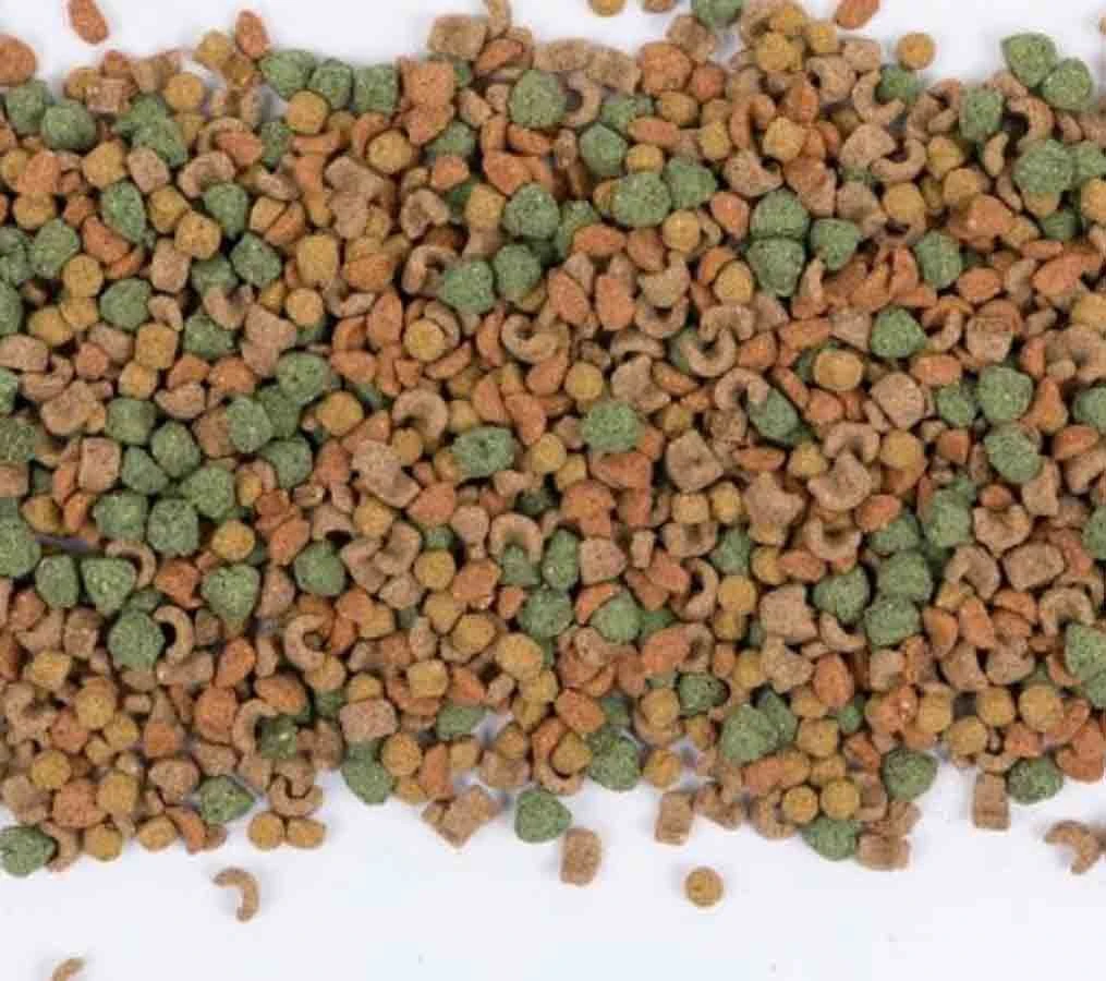 Care+ Cochon D'Inde 250 G 3 Care+ Cochon D'Inde 250 G – Image 3