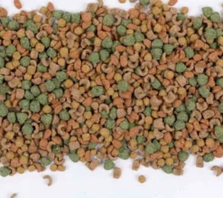 Care+ Cochon D'Inde 5 Kg 6 Care+ Cochon D'Inde 5 Kg -Équilibre Animal care cochon d inde 5 kg3