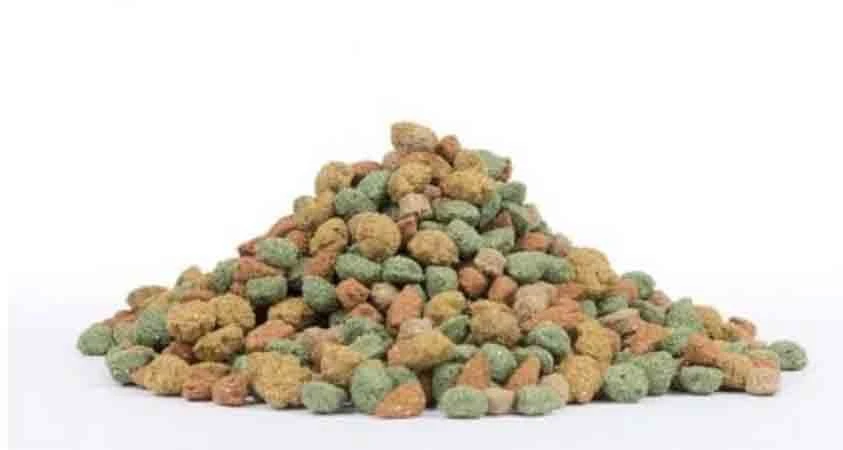 Care+ Lapin 1.5 Kg 2 Care+ Lapin 1.5 Kg – Image 2