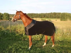 Chemise Polaire Supreme Back On Track 165 Cm - Destockage -Équilibre Animal chemise polaire supreme back on track 2 4 2