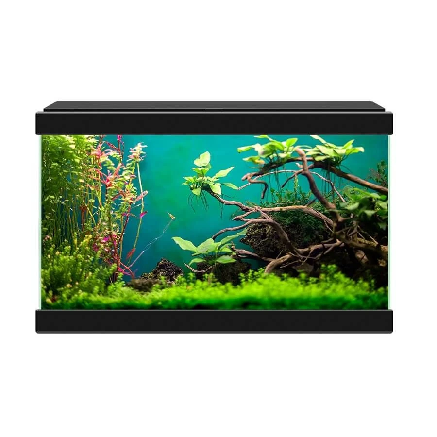 Ciano Aquarium 20 Classic Noir - Destockage 2 Ciano Aquarium 20 Classic Noir - Destockage – Image 2