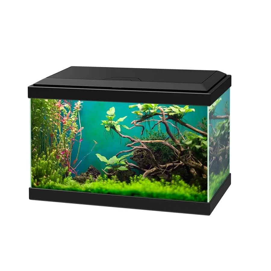 Ciano Aquarium 20 Classic Noir - Destockage 1 Ciano Aquarium 20 Classic Noir - Destockage