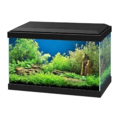 Ciano Aquarium 20 LED Noir - Destockage