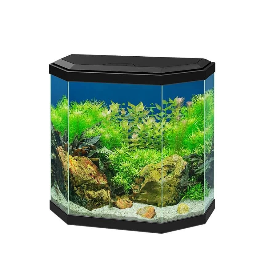 Ciano Aquarium 30 LED Noir 2 Ciano Aquarium 30 LED Noir – Image 2