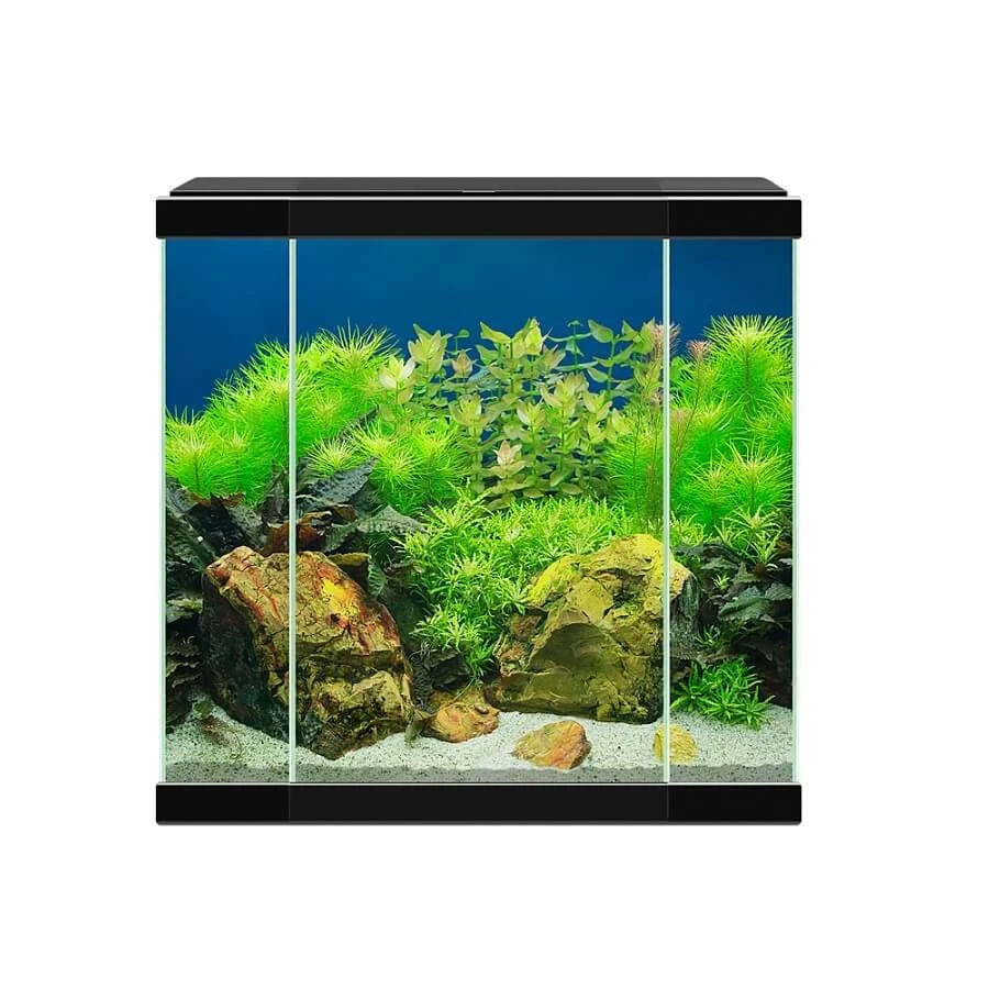 Ciano Aquarium 30 LED Noir 1 Ciano Aquarium 30 LED Noir