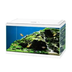 Ciano Aquarium 60 LED Blanc - Destockage