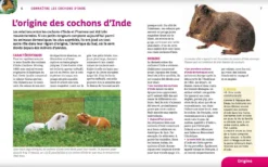 Livre - Cochons D'Inde 6 Livre - Cochons D'Inde -Équilibre Animal cochons d inde3