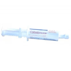 Colostimune Pate 5 Fois 60 Ml