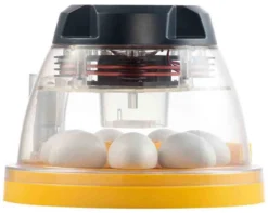 Couveuse Brinsea Mini II Advance -Équilibre Animal couveuse brinsea mini ii advance5