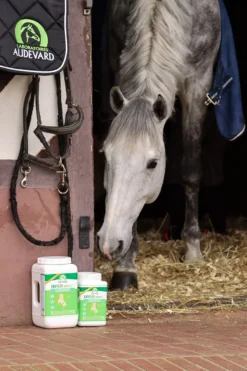 Ekyflex Arthro Evo 4.5 Kg 7 Ekyflex Arthro Evo 4.5 Kg -Équilibre Animal ekyflex arthro evo cheval box audevard 1 1 1