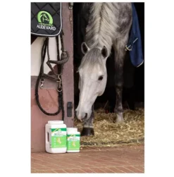 Ekyflex Arthro Evo 450 G -Équilibre Animal ekyflex arthro evo cheval box audevard 2