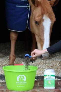 Ekyflex Arthro Evo 1.8 Kg -Équilibre Animal ekyflex arthro evo distribution cheval audevard 1 1