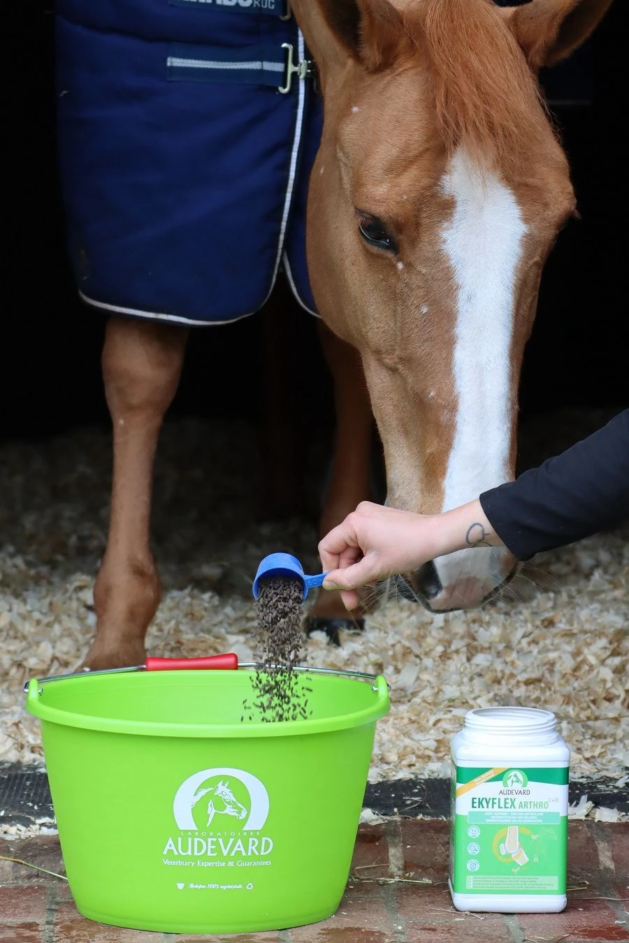 Ekyflex Arthro Evo 4.5 Kg 3 Ekyflex Arthro Evo 4.5 Kg – Image 3