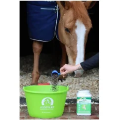 Ekyflex Arthro Evo 450 G -Équilibre Animal ekyflex arthro evo distribution cheval audevard 2