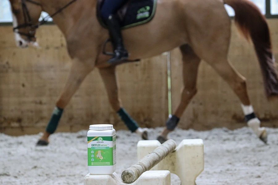 Ekyflex Arthro Evo 4.5 Kg 2 Ekyflex Arthro Evo 4.5 Kg – Image 2