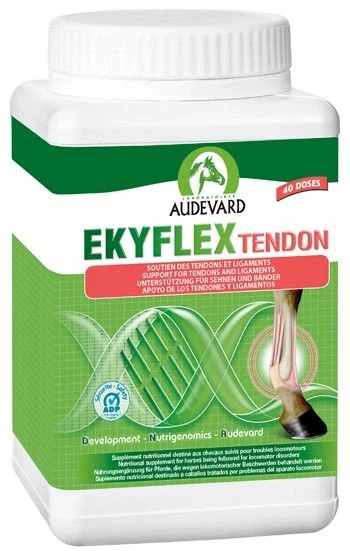 Ekyflex Tendon 600 Grs 2 Ekyflex Tendon 600 Grs – Image 2
