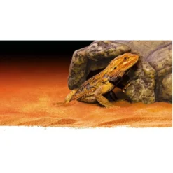 Exo Terra Grotte Reptile S 3 Exo Terra Grotte Reptile S -Équilibre Animal exo terra cachette pour reptile 1 1