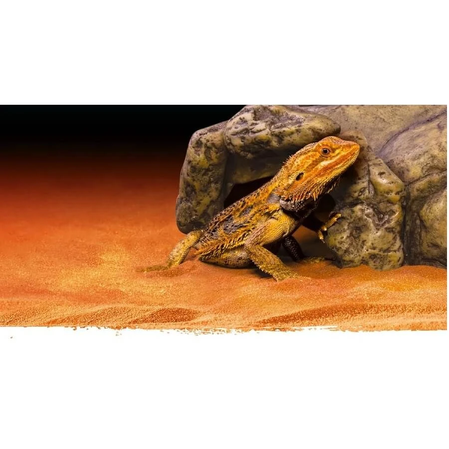 Exo Terra Grotte Reptile S 2 Exo Terra Grotte Reptile S – Image 2