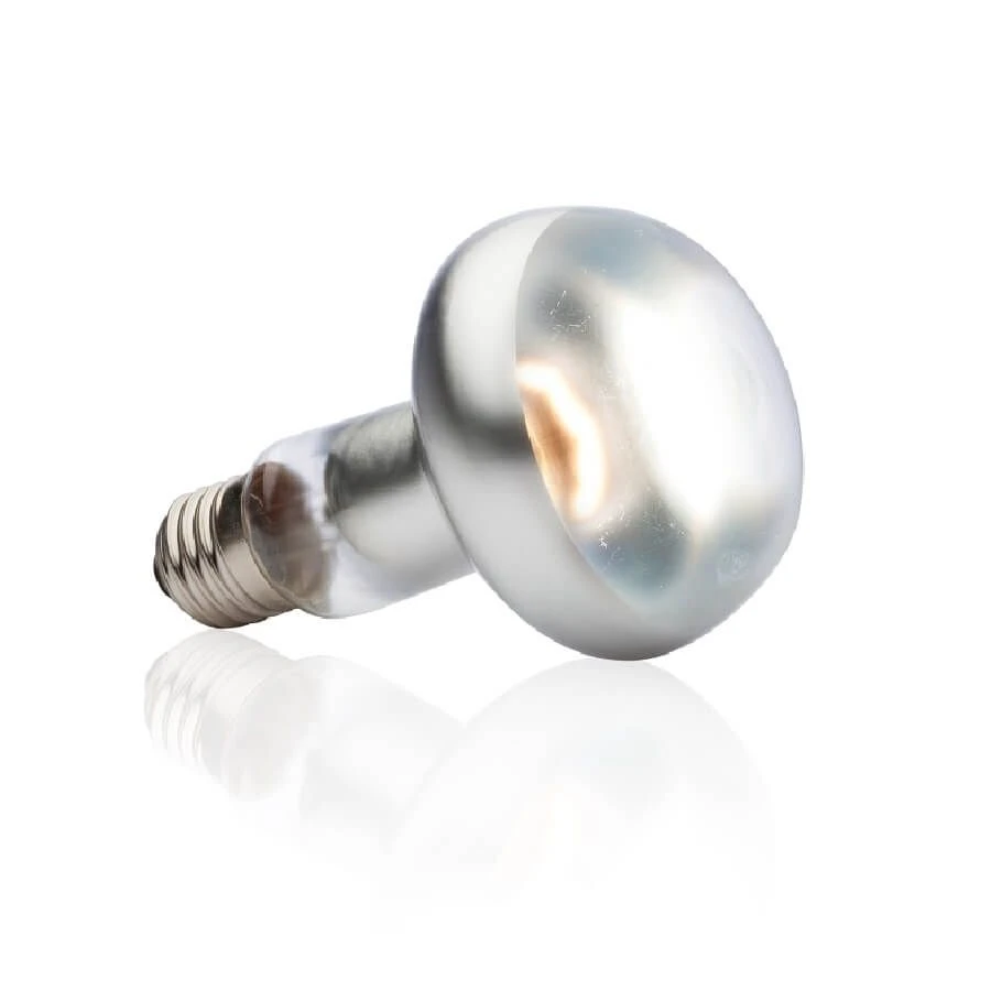 Exo Terra Lampe Intense à Vis Pour Terrarium 75 W 2 Exo Terra Lampe Intense à Vis Pour Terrarium 75 W – Image 2