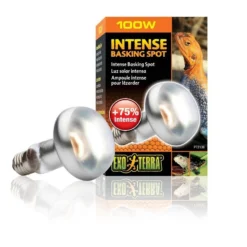 Exo Terra Lampe Intense à Vis Pour Terrarium 100 W -Équilibre Animal exo terra lampe intense vis pour terrarium 100 w 2