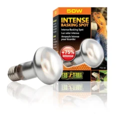 Exo Terra Lampe Intense à Vis Pour Terrarium 50 W -Équilibre Animal exo terra lampe intense vis pour terrarium 50 w