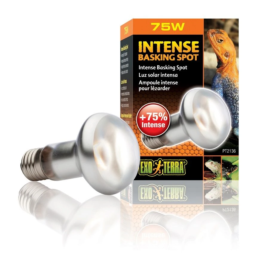 Exo Terra Lampe Intense à Vis Pour Terrarium 75 W 3 Exo Terra Lampe Intense à Vis Pour Terrarium 75 W – Image 3