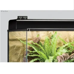 Exo Terra Thermomètre Digital Pour Terrarium -Équilibre Animal exo terra thermom tre digital pour terrarium