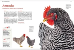Livre - Guide Des Races De Poules -Équilibre Animal guide des races de poules3