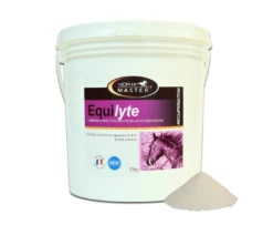 Horse Master Equilyte 10 Kg