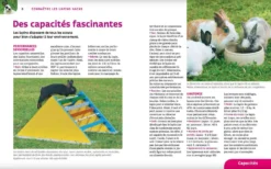 Livre - Lapins Nains -Équilibre Animal lapins nains2