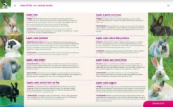 Livre - Lapins Nains -Équilibre Animal lapins nains3