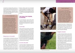 Livre - La Bible Des Soins Naturels Pour Le Cheval, Le Poney Et L'âne 5 Livre - La Bible Des Soins Naturels Pour Le Cheval, Le Poney Et L'âne -Équilibre Animal livre la bible des soins naturels pour le cheval le poney et l a ne3