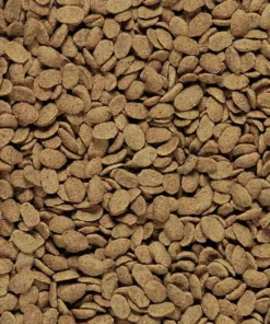 Nutribird P 15 Original Perroquet 1 Kg -Équilibre Animal nutribird p 15 original perroquet 2