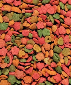 Nutribird P 15 Tropical Perroquet 1 Kg -Équilibre Animal nutribird p 15 tropical perroquet2 1