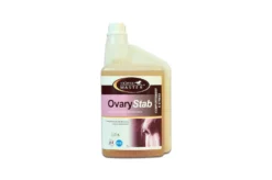 Ovary Stab 1 L