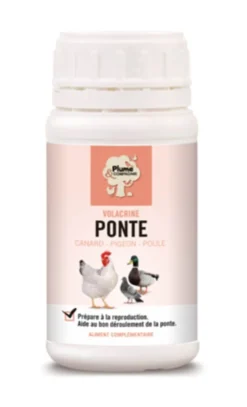 Plume & Compagnie Volacrine Ponte 250 Ml
